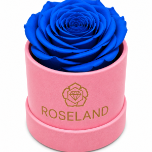 Mini Βελούδινη Καπελιέρα με Forever Rose