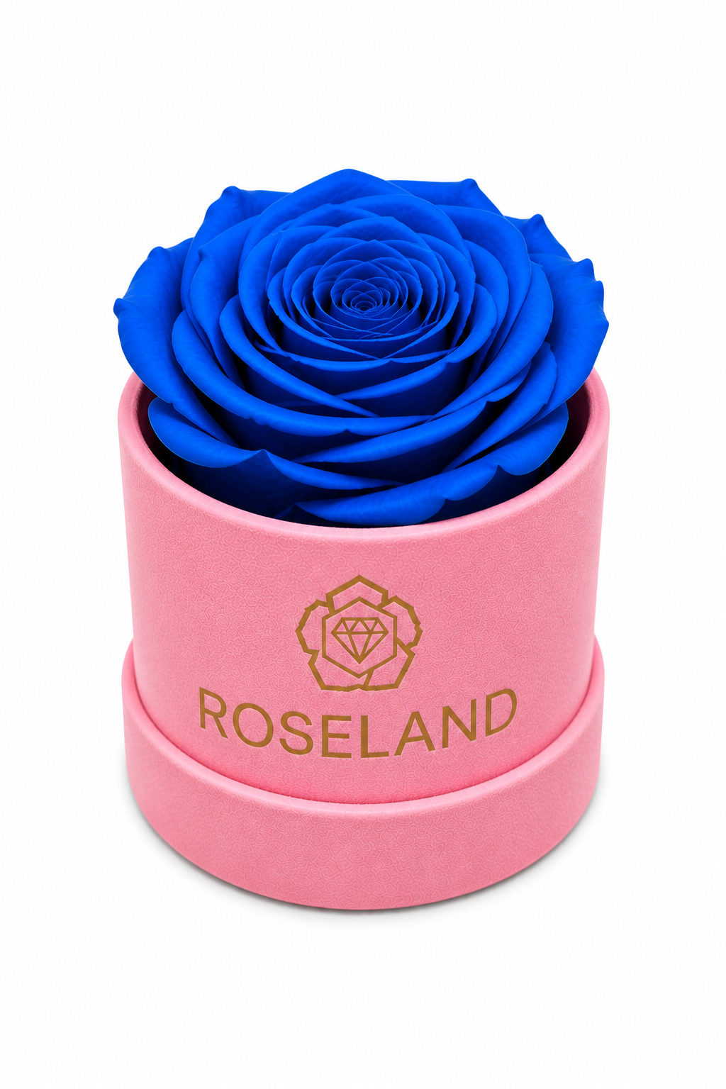 Mini Βελούδινη Καπελιέρα με Forever Rose
