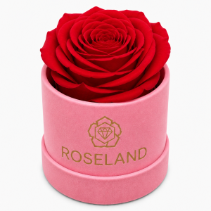 Mini Βελούδινη Καπελιέρα με Forever Rose