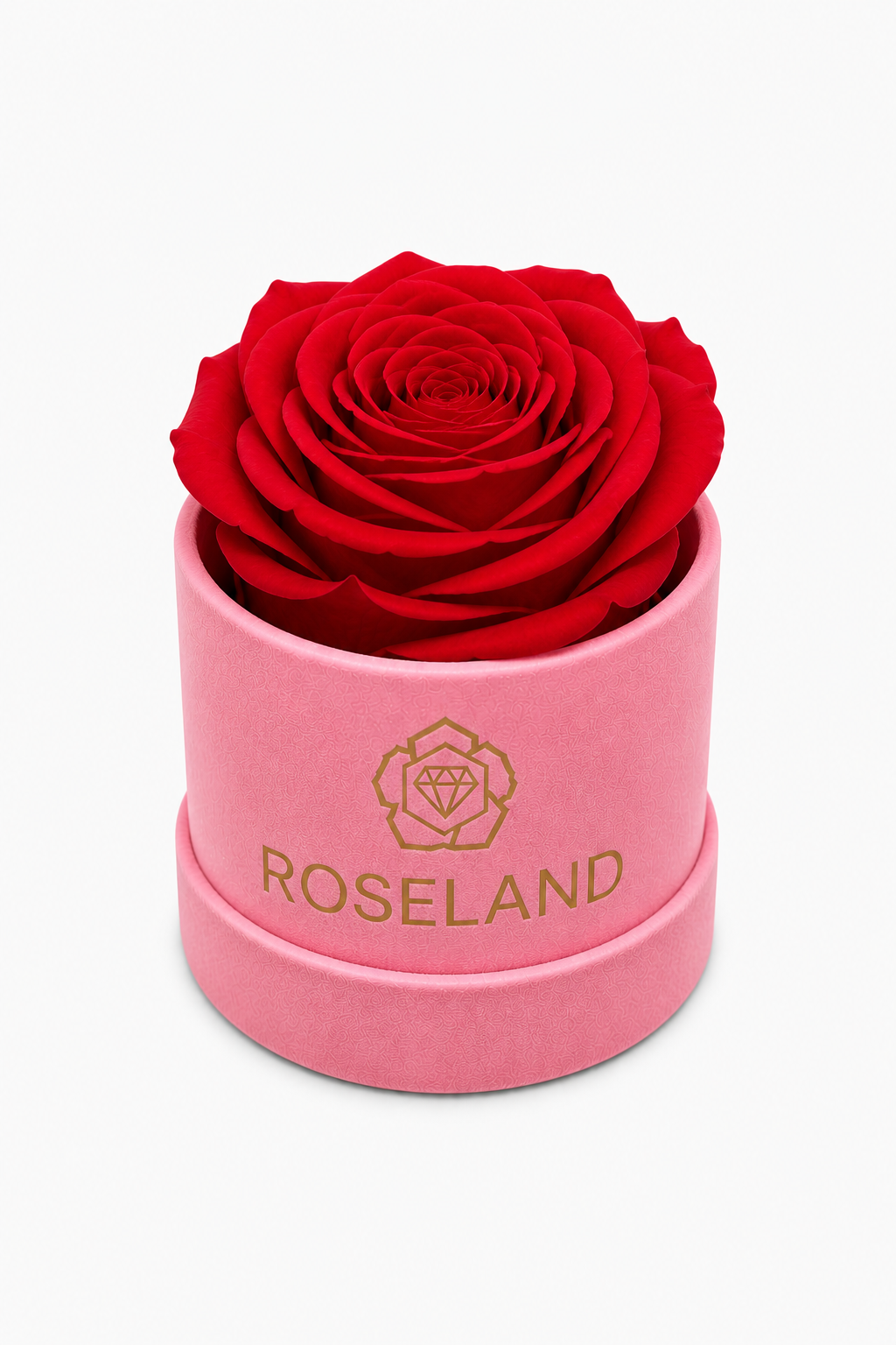 Mini Βελούδινη Καπελιέρα με Forever Rose