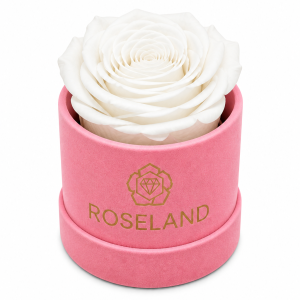 Mini Βελούδινη Καπελιέρα με Forever Rose