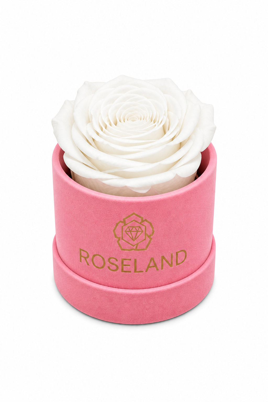 Mini Βελούδινη Καπελιέρα με Forever Rose