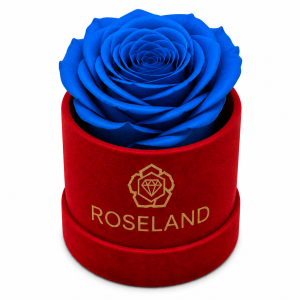 Mini Βελούδινη Καπελιέρα με Forever Rose