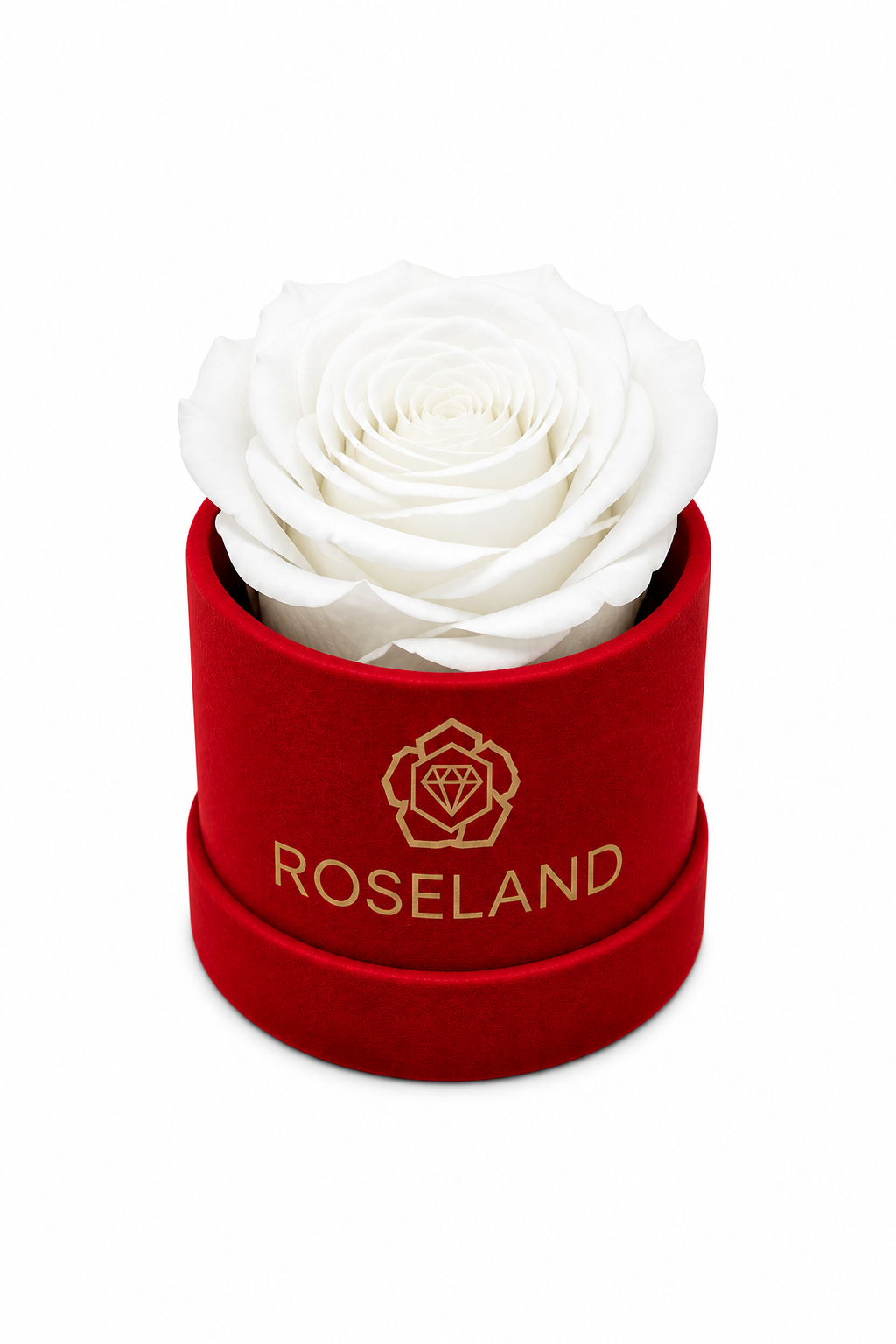 Mini Βελούδινη Καπελιέρα με Forever Rose